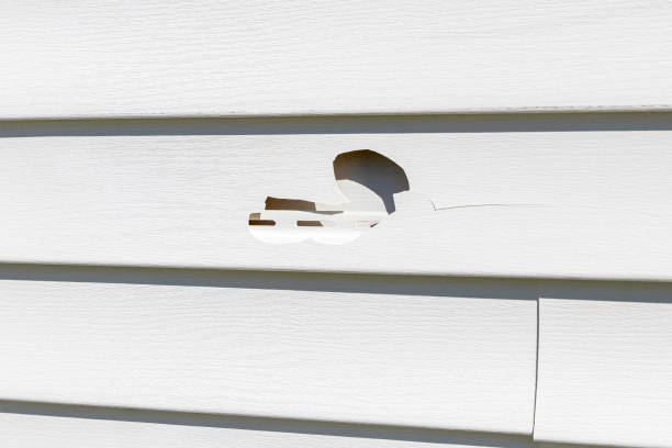 Best Shed Removal  in Lomita, CA